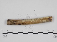 登錄號:F0012211藏品圖，第1張