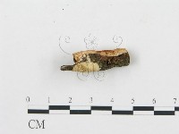 登錄號:F0012212藏品圖，第3張
