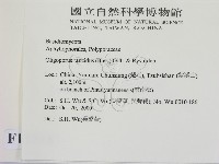 登錄號:F0012216藏品圖，第2張