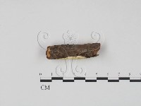 登錄號:F0012216藏品圖，第3張