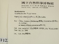登錄號:F0012219藏品圖，第2張