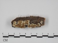 登錄號:F0012219藏品圖，第1張