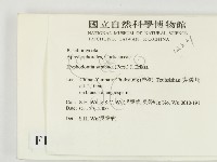 冇骨消絲齒菌藏品圖，第2張