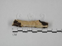 登錄號:F0012222藏品圖，第1張