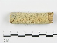 登錄號:F0012223藏品圖，第1張
