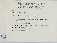 寡孔菌屬藏品圖，第2張