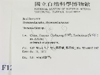 刺革菌屬藏品圖，第2張