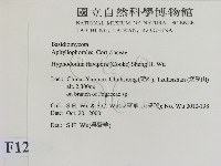 登錄號:F0012226藏品圖，第2張