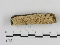 登錄號:F0012226藏品圖，第1張
