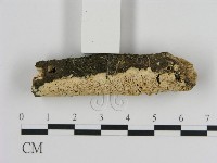 登錄號:F0012226藏品圖，第3張