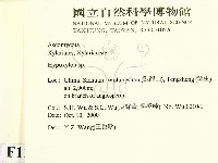 登錄號:F0012229藏品圖，第2張