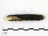 登錄號:F0012229藏品圖，第1張