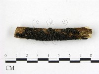 登錄號:F0012229藏品圖，第3張