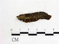 登錄號:F0012233藏品圖，第1張