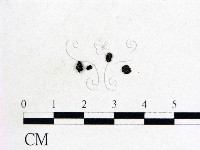 登錄號:F0012234藏品圖，第1張