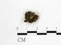 登錄號:F0012235藏品圖，第3張