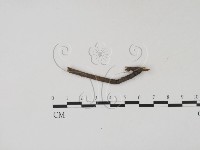 登錄號:F0012236藏品圖，第1張