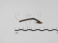登錄號:F0012236藏品圖，第3張