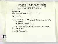 登錄號:F0012237藏品圖，第2張