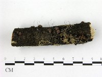 登錄號:F0012237藏品圖，第3張