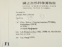 登錄號:F0012238藏品圖，第2張