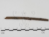 登錄號:F0012238藏品圖，第3張
