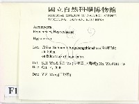 登錄號:F0012239藏品圖，第2張