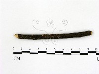 登錄號:F0012240藏品圖，第1張