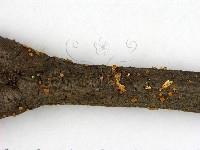 登錄號:F0012241藏品圖，第3張