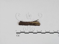 登錄號:F0012243藏品圖，第1張