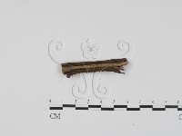 登錄號:F0012243藏品圖，第3張