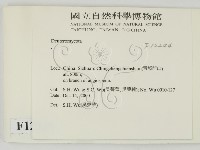 登錄號:F0012244藏品圖，第2張