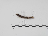 登錄號:F0012244藏品圖，第3張
