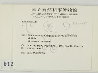 登錄號:F0012245藏品圖，第2張