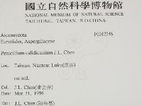 登錄號:F0012246藏品圖，第2張