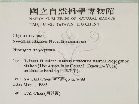 登錄號:F0012247藏品圖，第2張