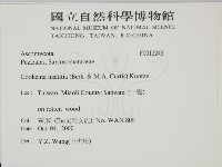 登錄號:F0012248藏品圖，第2張