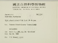 登錄號:F0012249藏品圖，第2張