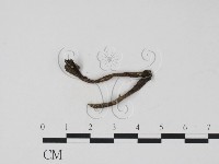 登錄號:F0012249藏品圖，第1張