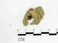 登錄號:F0012250藏品圖，第1張