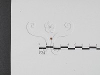 登錄號:F0012251藏品圖，第1張