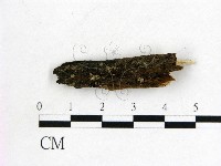 登錄號:F0012253藏品圖，第1張