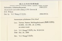 登錄號:F0012253藏品圖，第3張