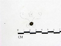登錄號:F0012254藏品圖，第1張