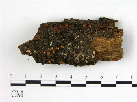 登錄號:F0012255藏品圖，第1張