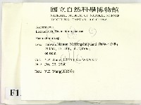 登錄號:F0012256藏品圖，第2張