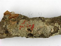 登錄號:F0012256藏品圖，第3張
