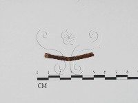 登錄號:F0012257藏品圖，第3張