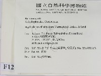 登錄號:F0012259藏品圖，第2張