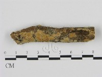 登錄號:F0012259藏品圖，第1張